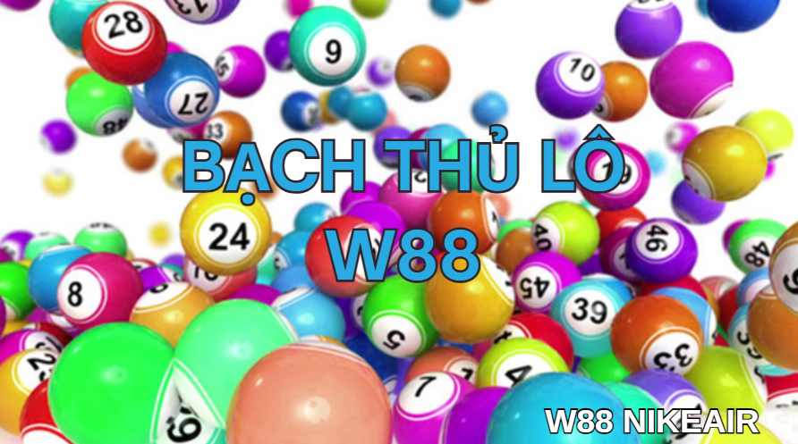 Bạch thủ lô w88 Bạch thủ lô w88