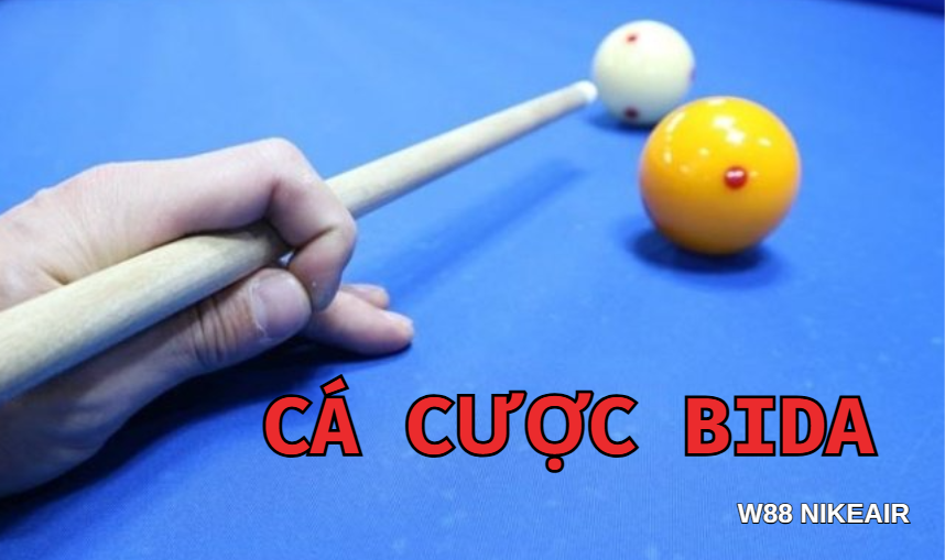 Cá cược bida W88 Cá cược bida W88