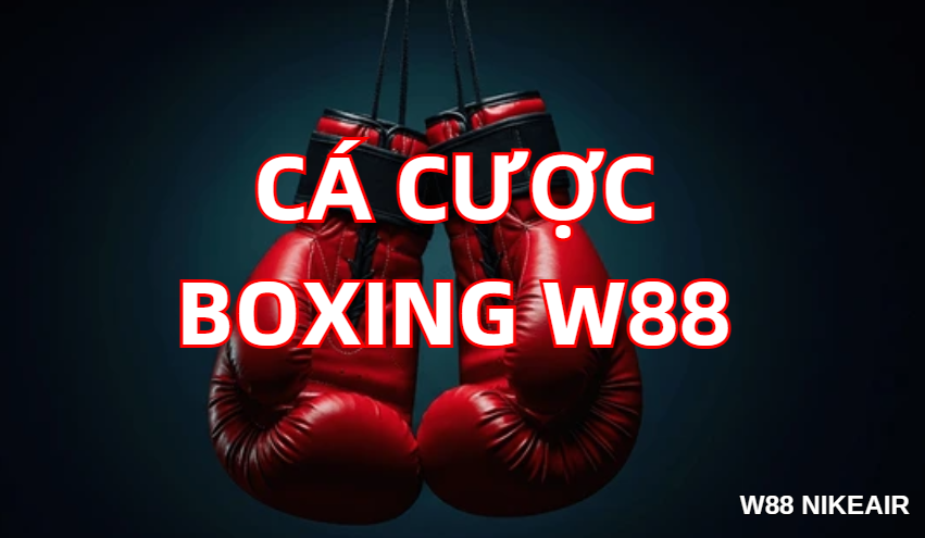 Cá cược boxing W88 Cá cược boxing W88