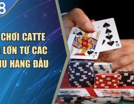 Cách Chơi Catte