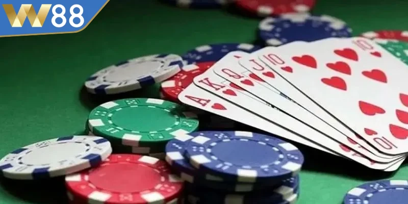 Những kinh nghiệm trong cách chơi Catte từ cao thủ giúp bạn thắng lớn