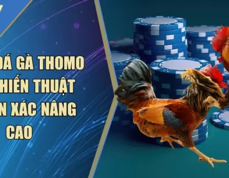 Cách Đá Gà Thomo
