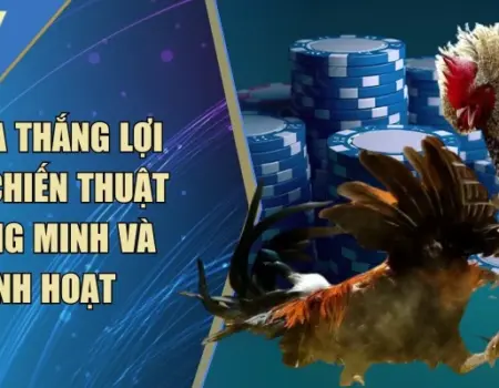 Đá Gà Thắng Lợi Nhờ Chiến Thuật
