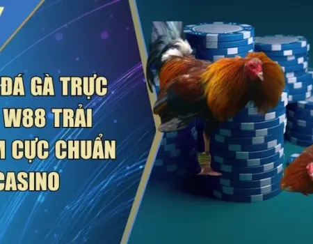 Game Đá Gà Trực Tiếp